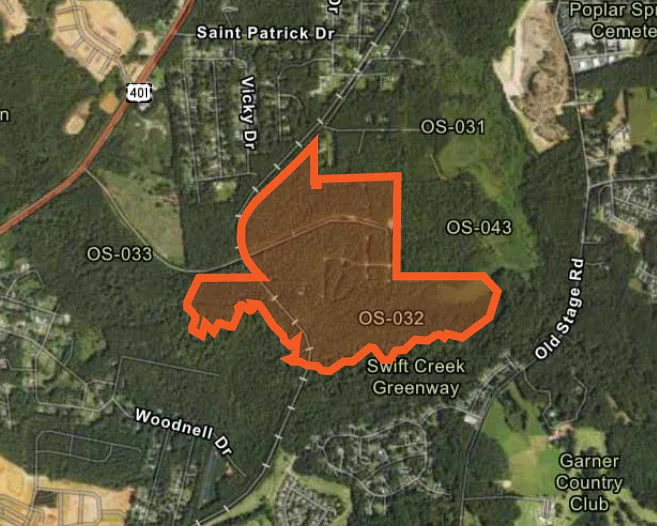 Forest at Swift Creek